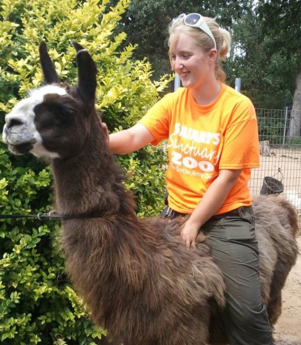 Erica Meredith volunteered at Safari's for two years before signing on to be part of the three-member board of the new management at Safari's, to take over the park from owner Lori Ensign-Scroggins, once Lori's USDA license revocation became effective August 1, 2012, due to the USDA judging her unfit to hold a license, under the Animal Welfare Act. Erica left Safari's at the beginning of August 2012 to pursue work with animals at another entertainment spot in the Tulsa area. 